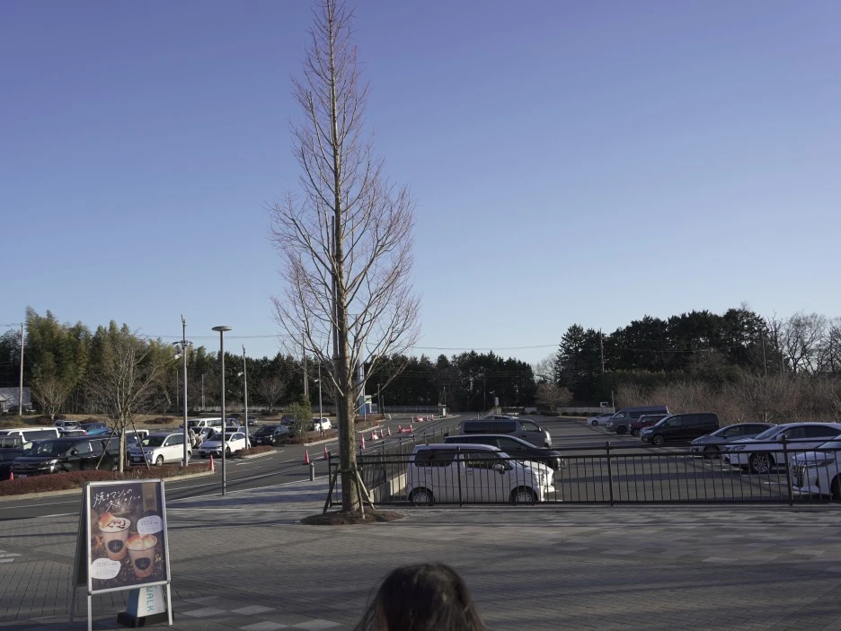 JPN05669.JPG?type=w1