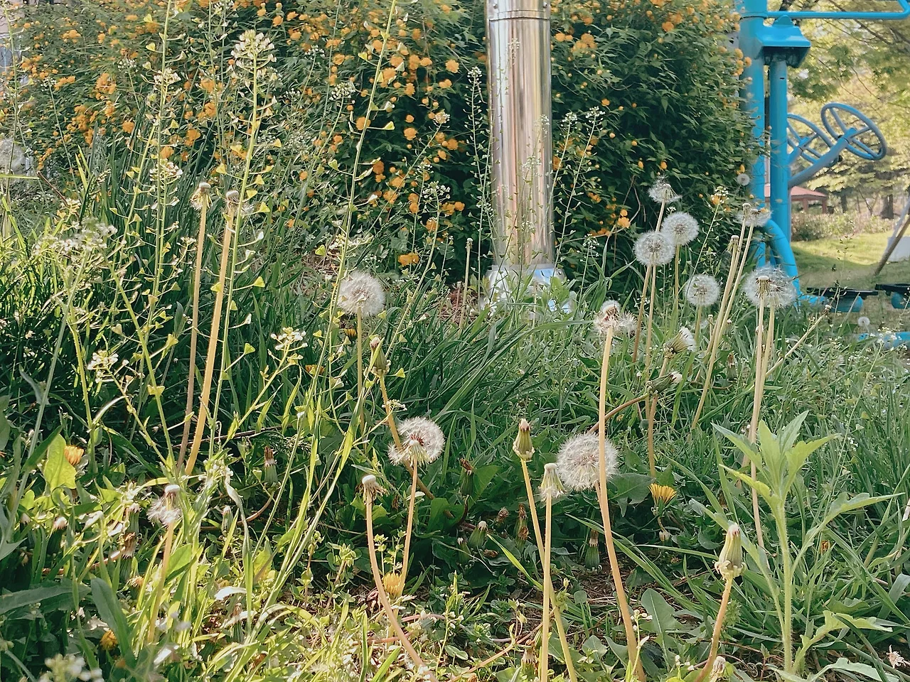 640611387.902615.jpg?type=w1600