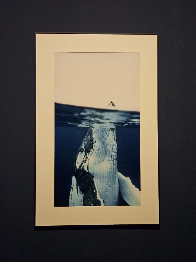 KakaoTalk_Photo_2024-03-03-19-28-36_009.jpeg?type=w773