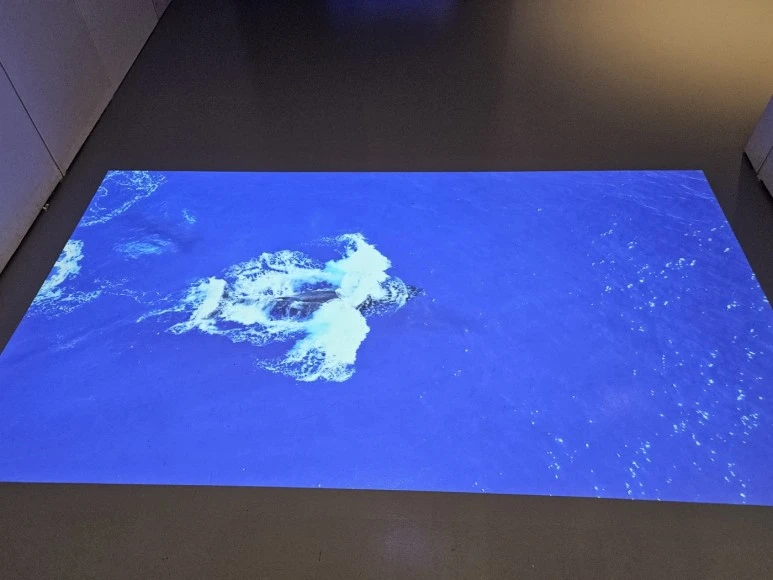 KakaoTalk_Photo_2024-03-03-19-28-15_005.jpeg?type=w773