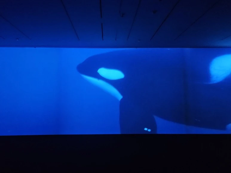 KakaoTalk_Photo_2024-03-03-19-28-36_015.jpeg?type=w773