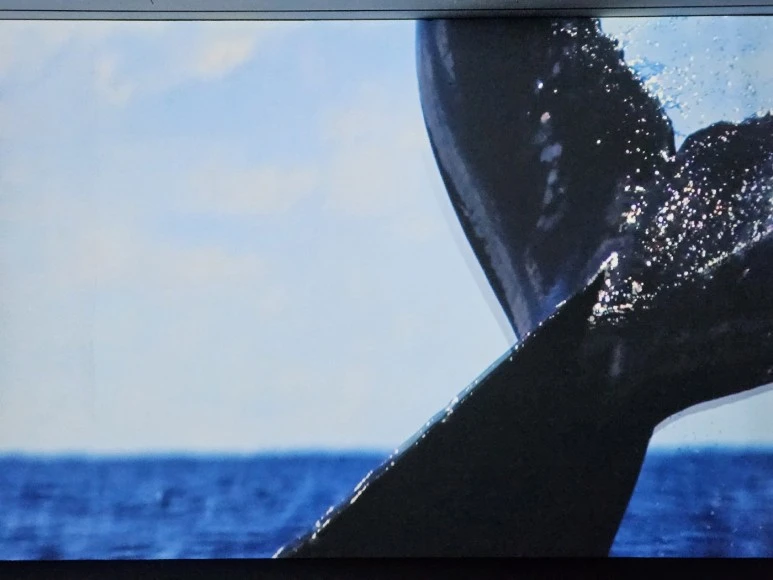 KakaoTalk_Photo_2024-03-03-19-28-37_018.jpeg?type=w773