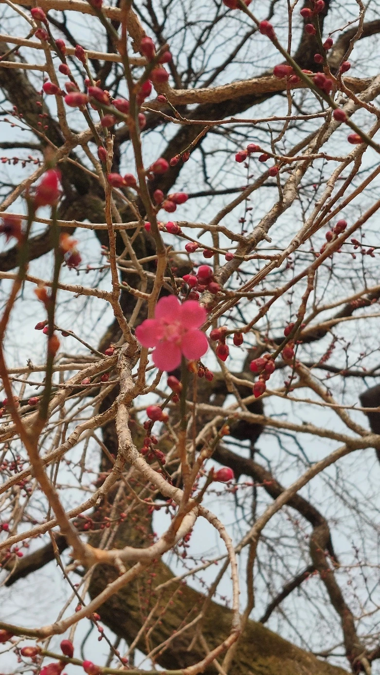 KakaoTalk_Photo_2023-03-29-12-23-35 001.jpeg