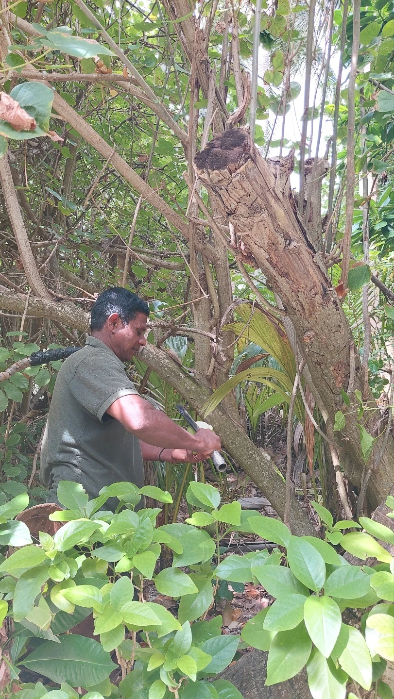 KakaoTalk_Photo_2022-12-09-19-41-04 002.jpeg