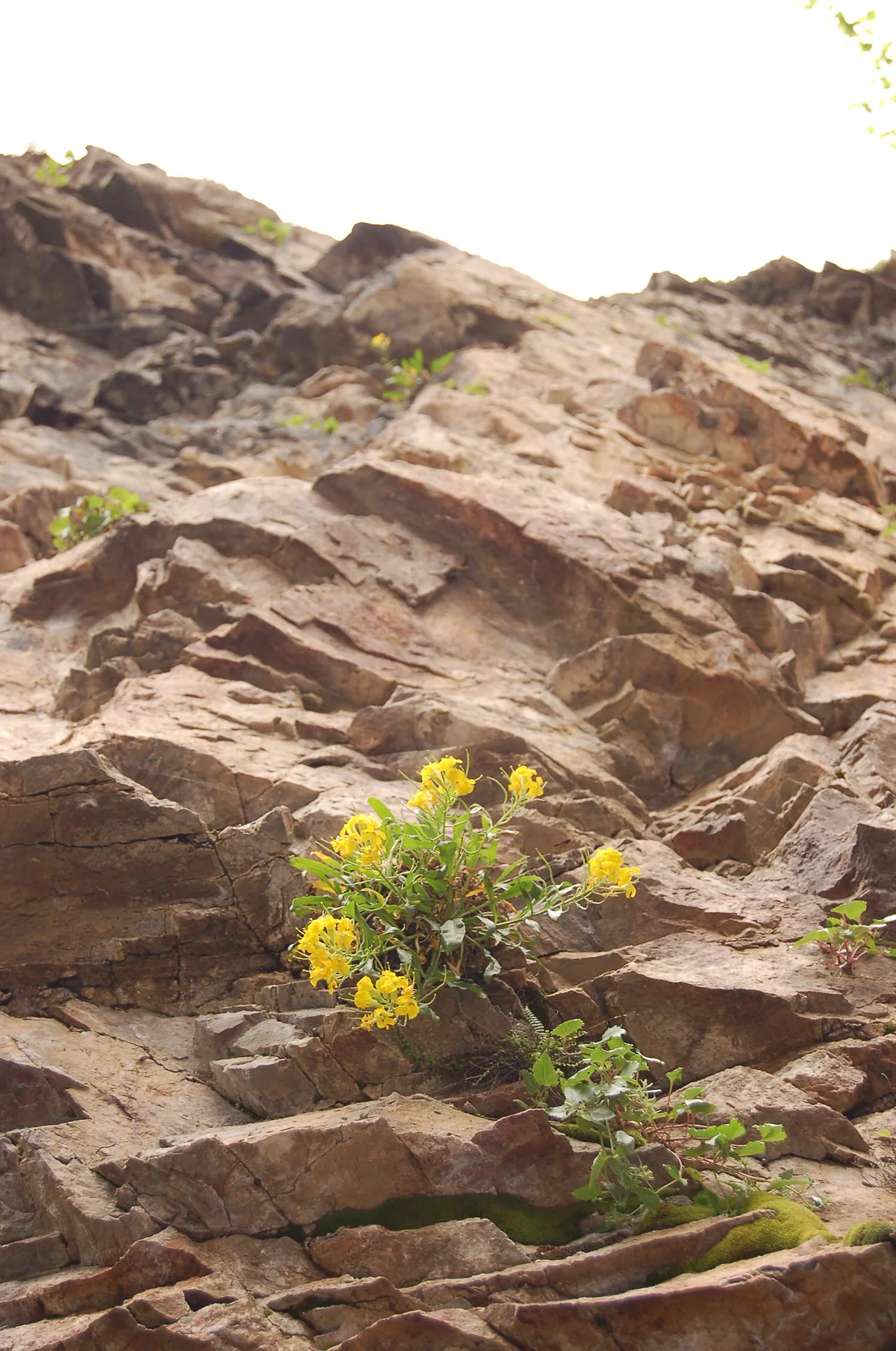 트라브존1 (80).JPG