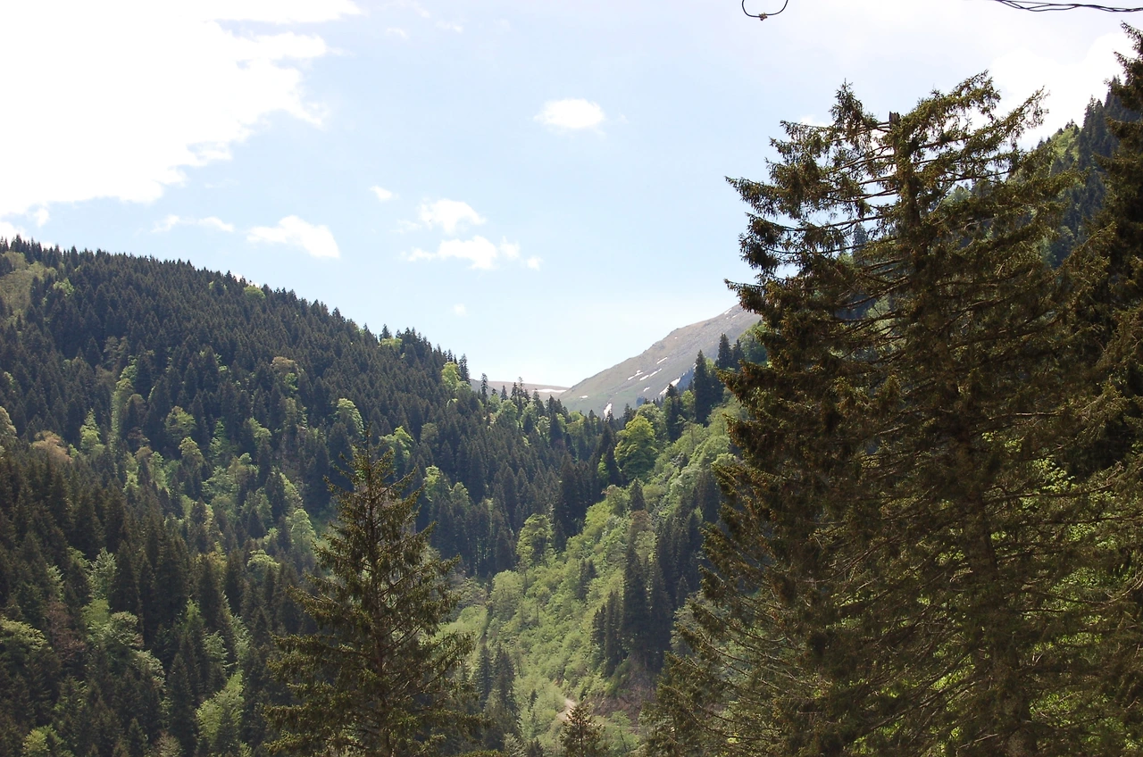 트라브존1 (81).JPG