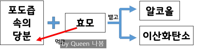 SE-862ae44a-bd90-413a-8846-f8910b8a347f.png?type=w773