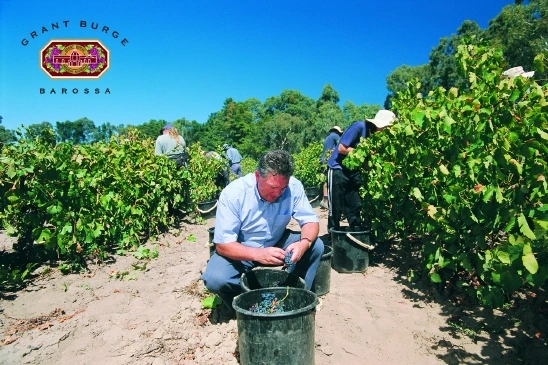 grant_and_pickers_copy_1-yapsap1126.jpg?type=w2