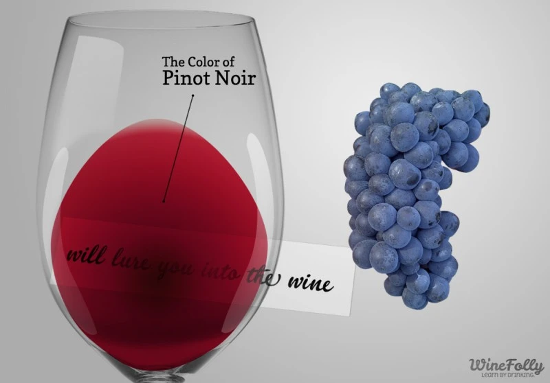 color-of-pinot-noir-wine-and-grapes.jpg?type=w800