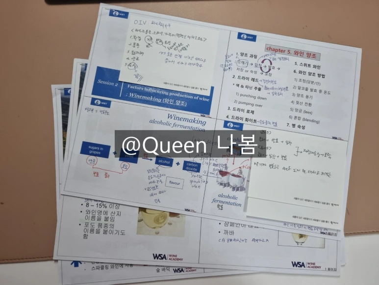 SE-aa934643-9c3f-4e72-a650-a03c4fbf5bcb.png?type=w773