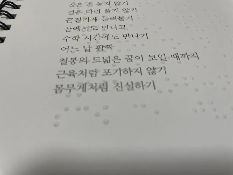 IMG%EF%BC%BF2230.jpg?type=w773