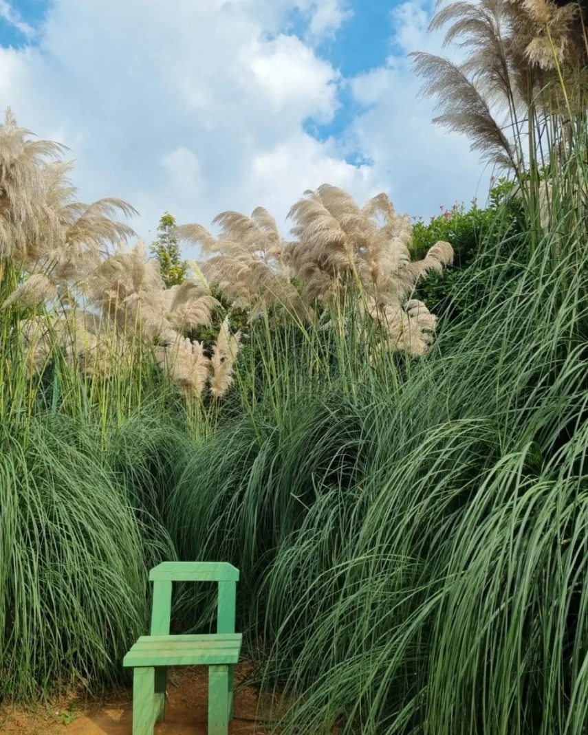 태안 청산수목원_5.jpeg