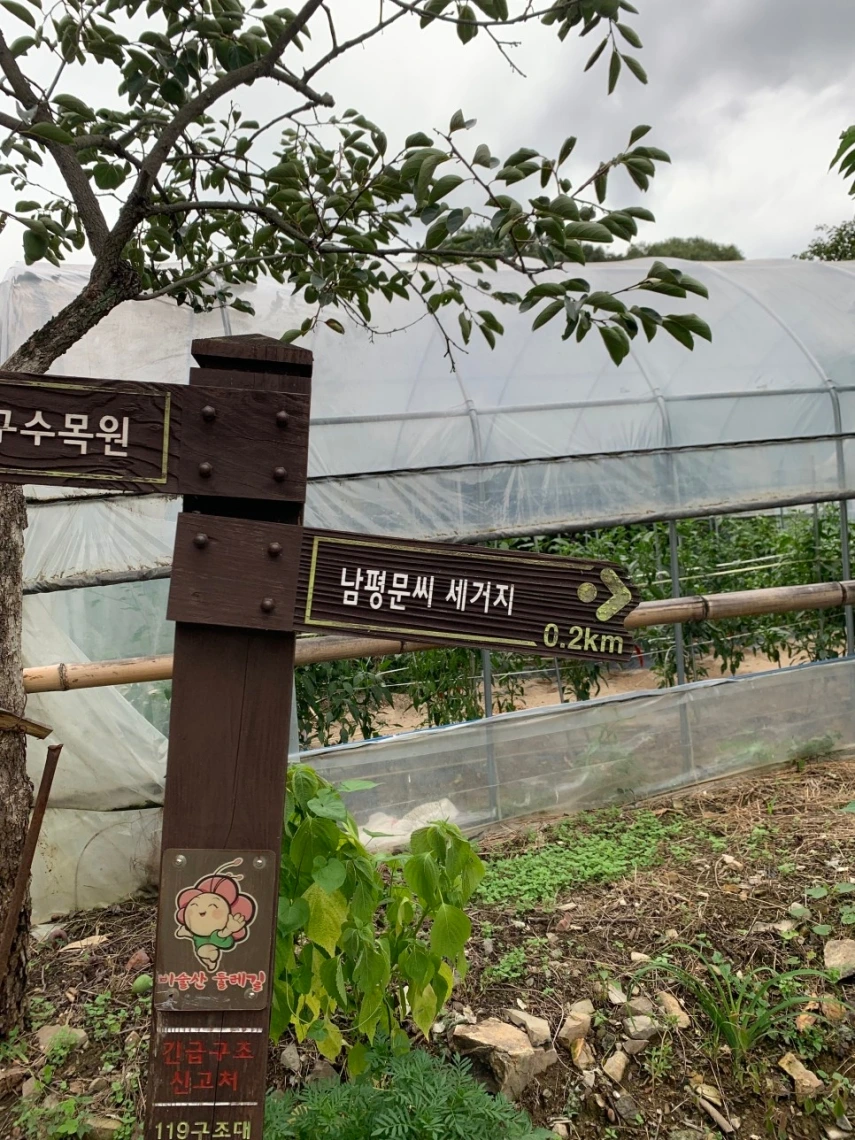 남평 문씨 본리 세거지_4.jpeg