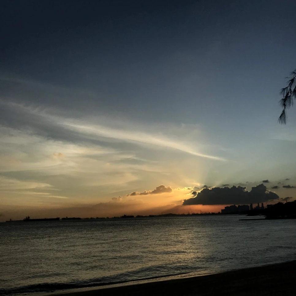 이스트코스트 파크_7.jpeg