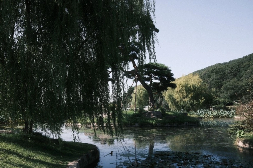 남평 문씨 본리 세거지_13.jpeg