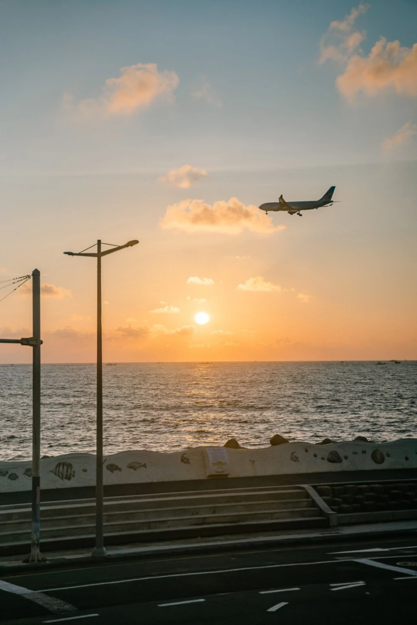 탑동 해안로_2.jpeg