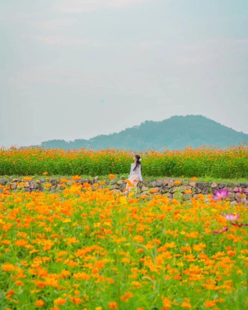 경주 황룡사지_3.jpeg