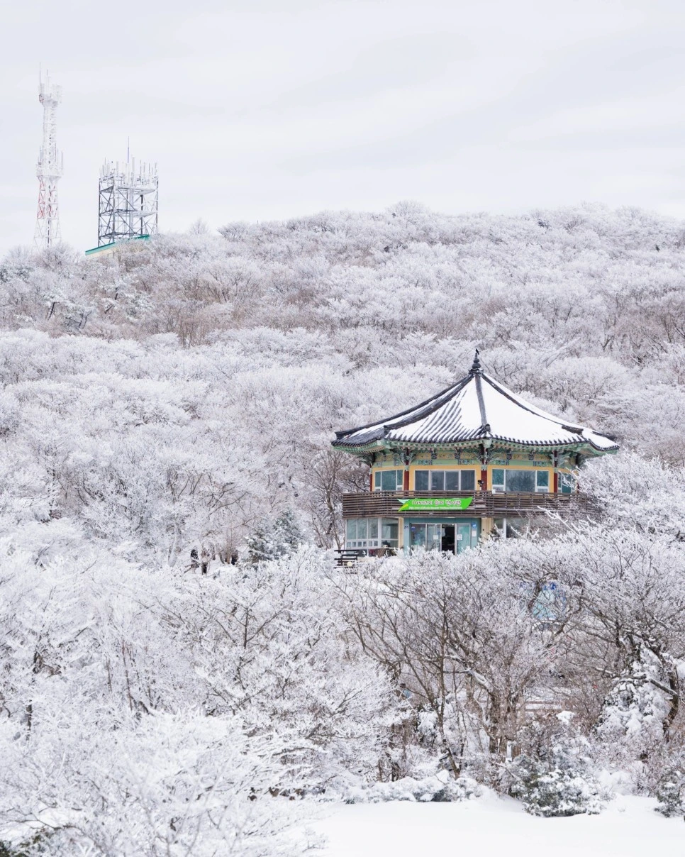 제주도_설경스팟_6.jpeg