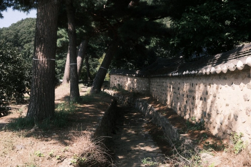 남평 문씨 본리 세거지_14.jpeg