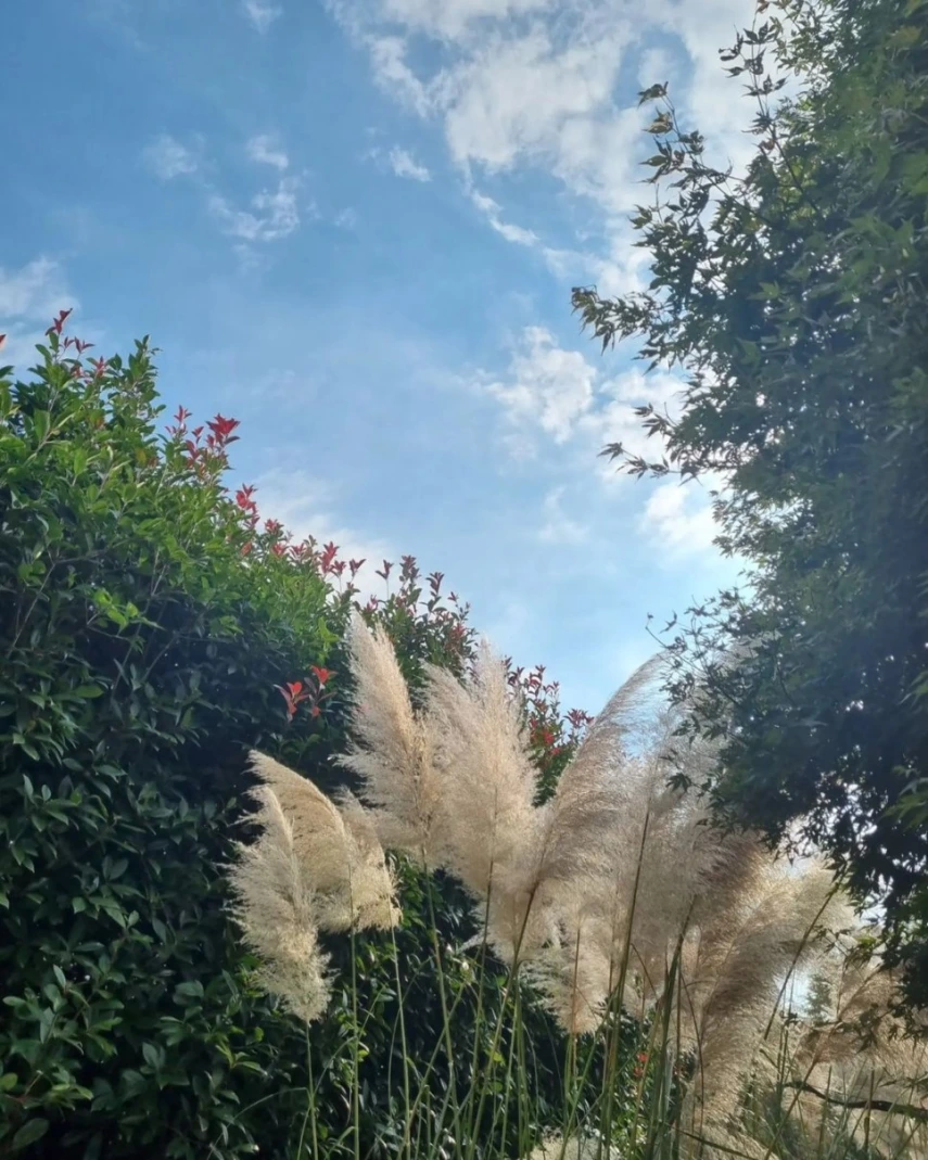 태안 청산수목원_6.jpeg