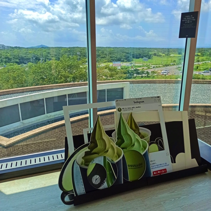제주 오설록 티뮤지엄_12.jpeg
