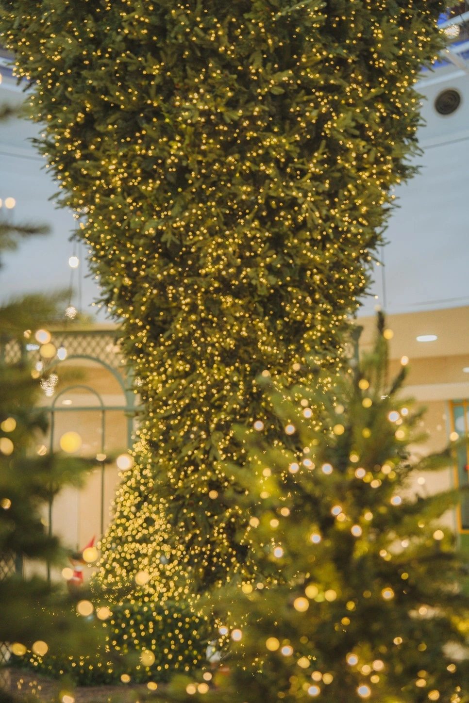 크리스마스 _스팟_6.jpeg