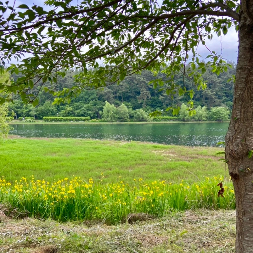 은파 호수 공원_3.jpeg