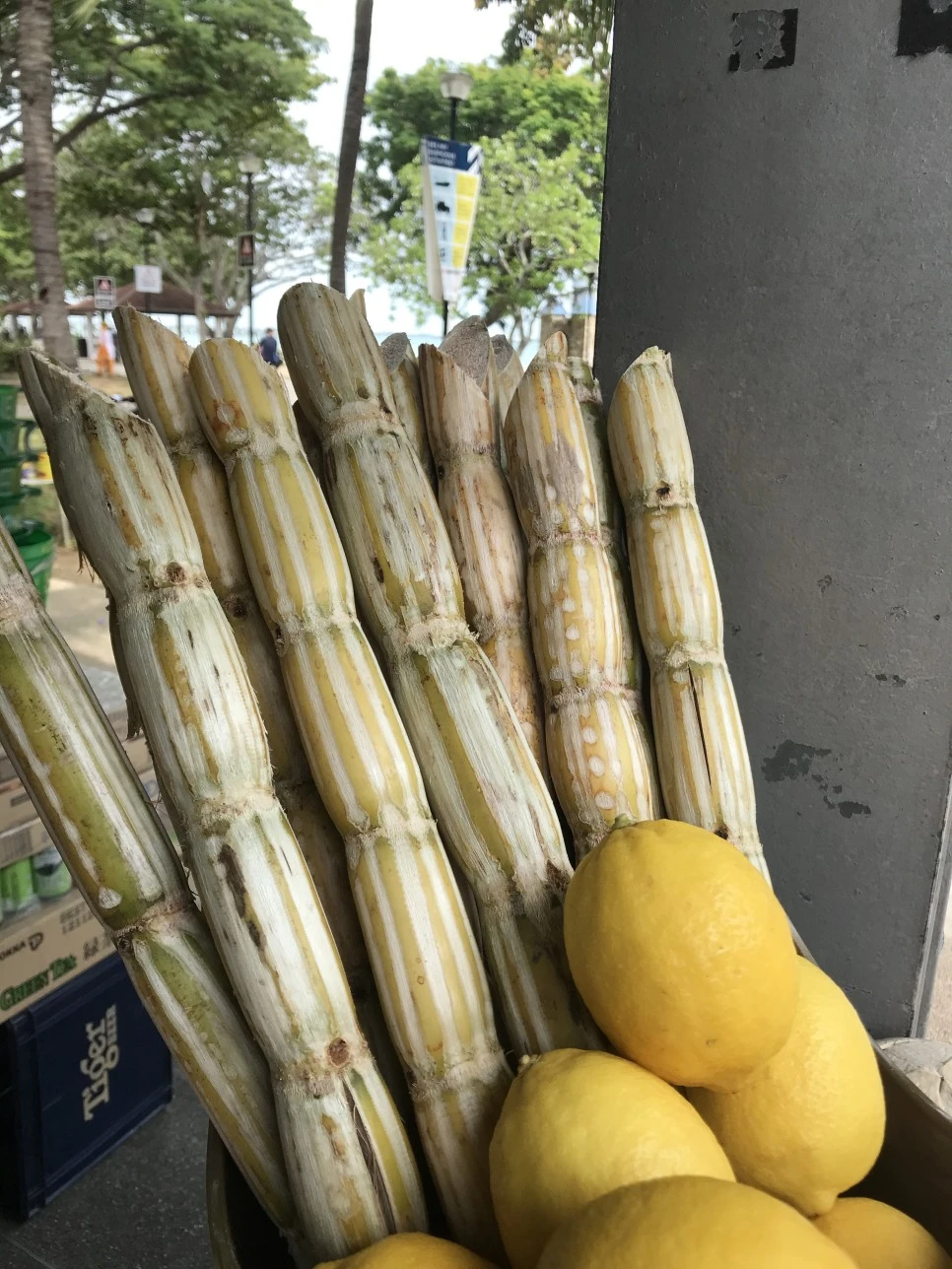 이스트코스트 파크_5.jpeg