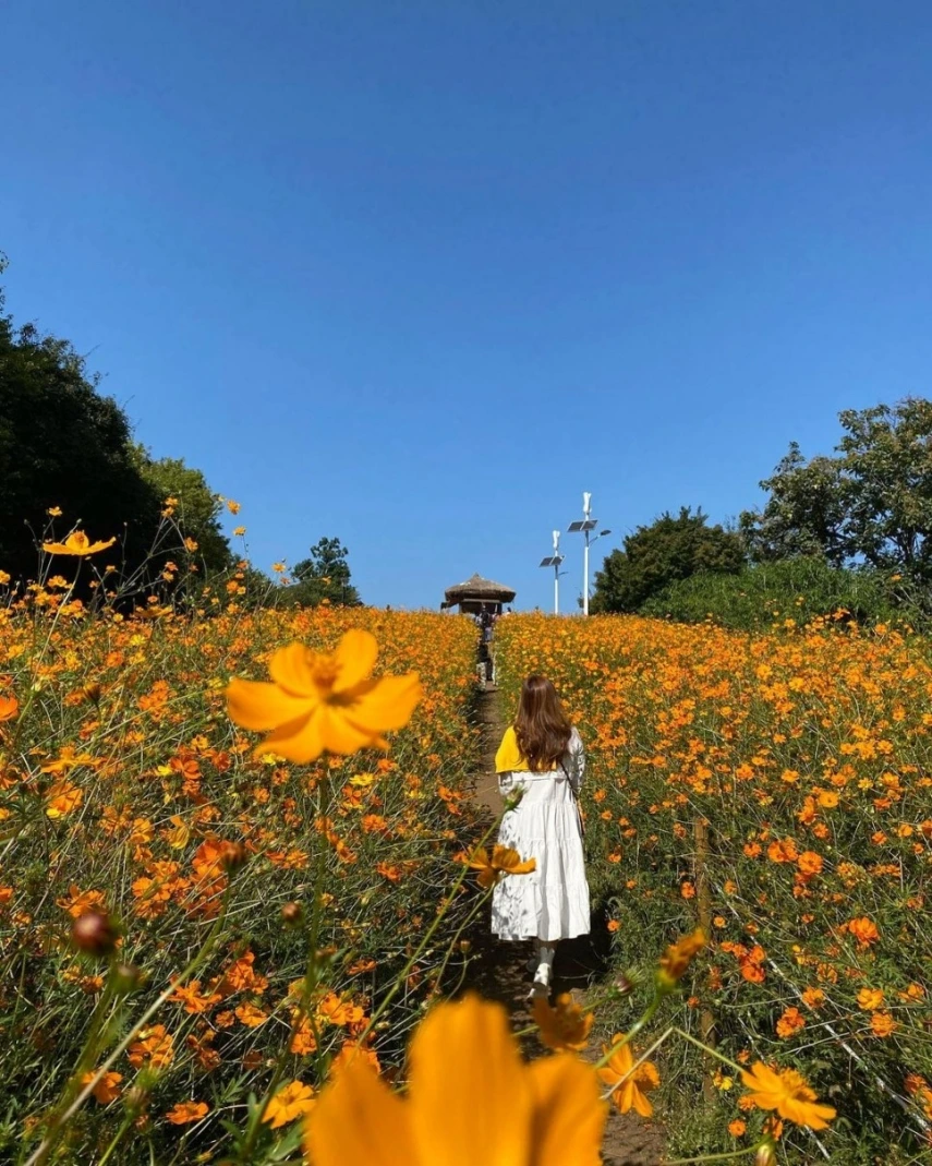 올림픽공원 들꽃마루_4.jpeg