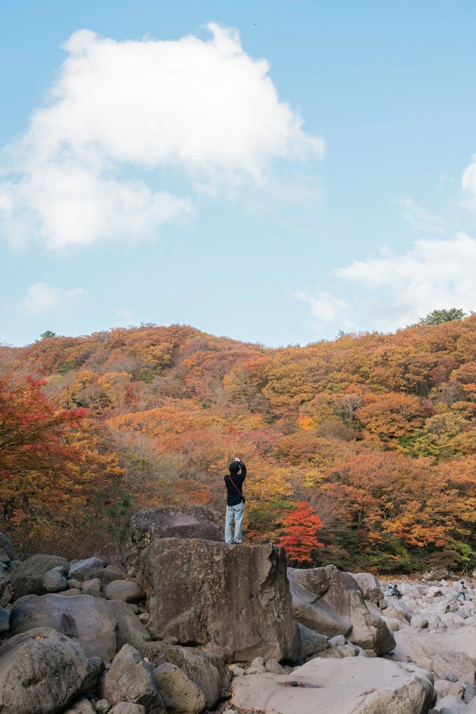 제주_단풍명소_8.jpeg