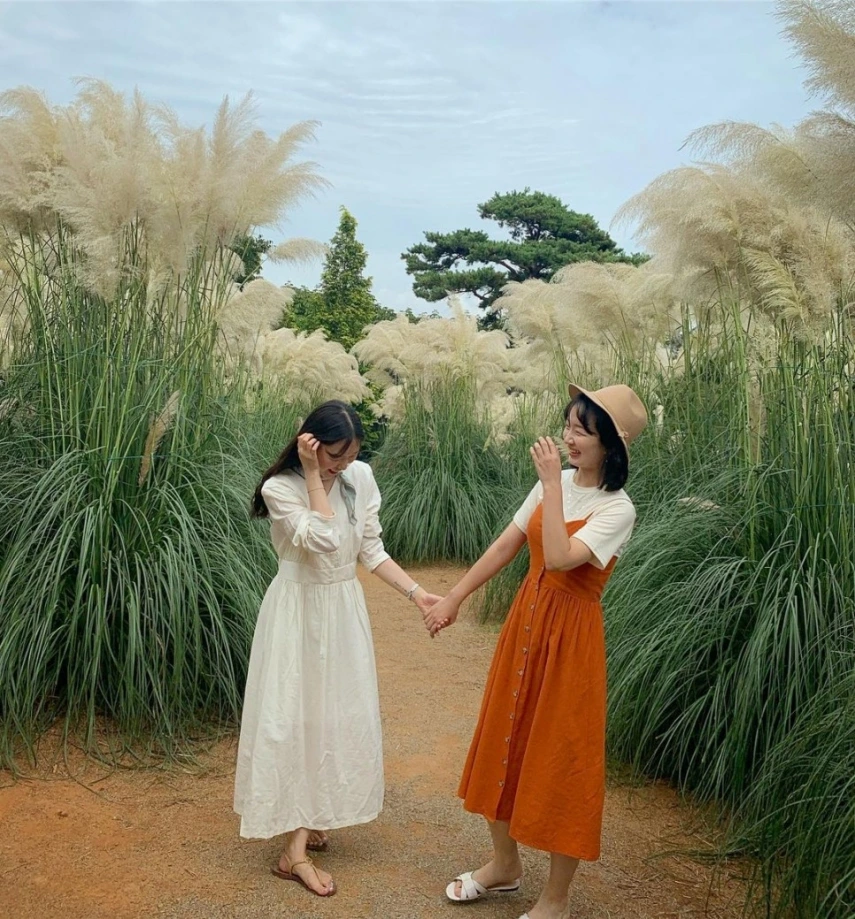 태안 청산수목원_4.jpeg