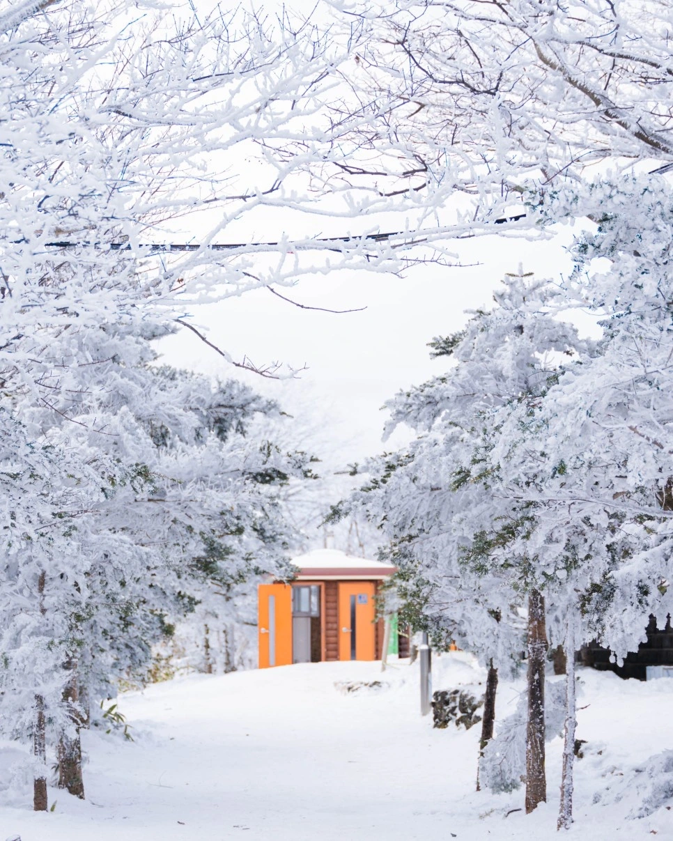 제주도_설경스팟_7.jpeg
