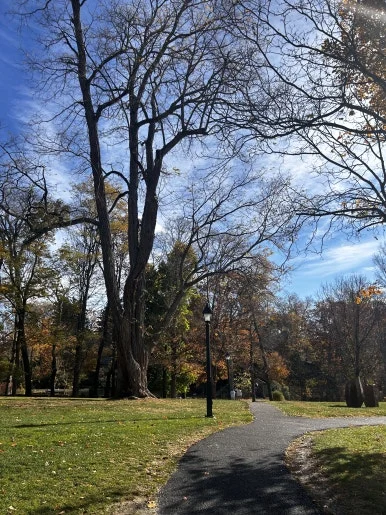 IMG_4283.jpg?type=w386