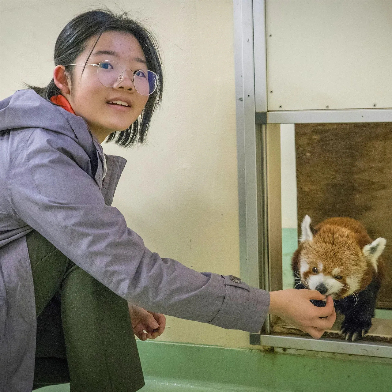 orig_photo1051335_9808185.jpg?