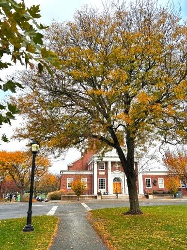 SE-2a944c55-cc3e-4970-9ae4-db709fa4c1c6.jpg?type=w386