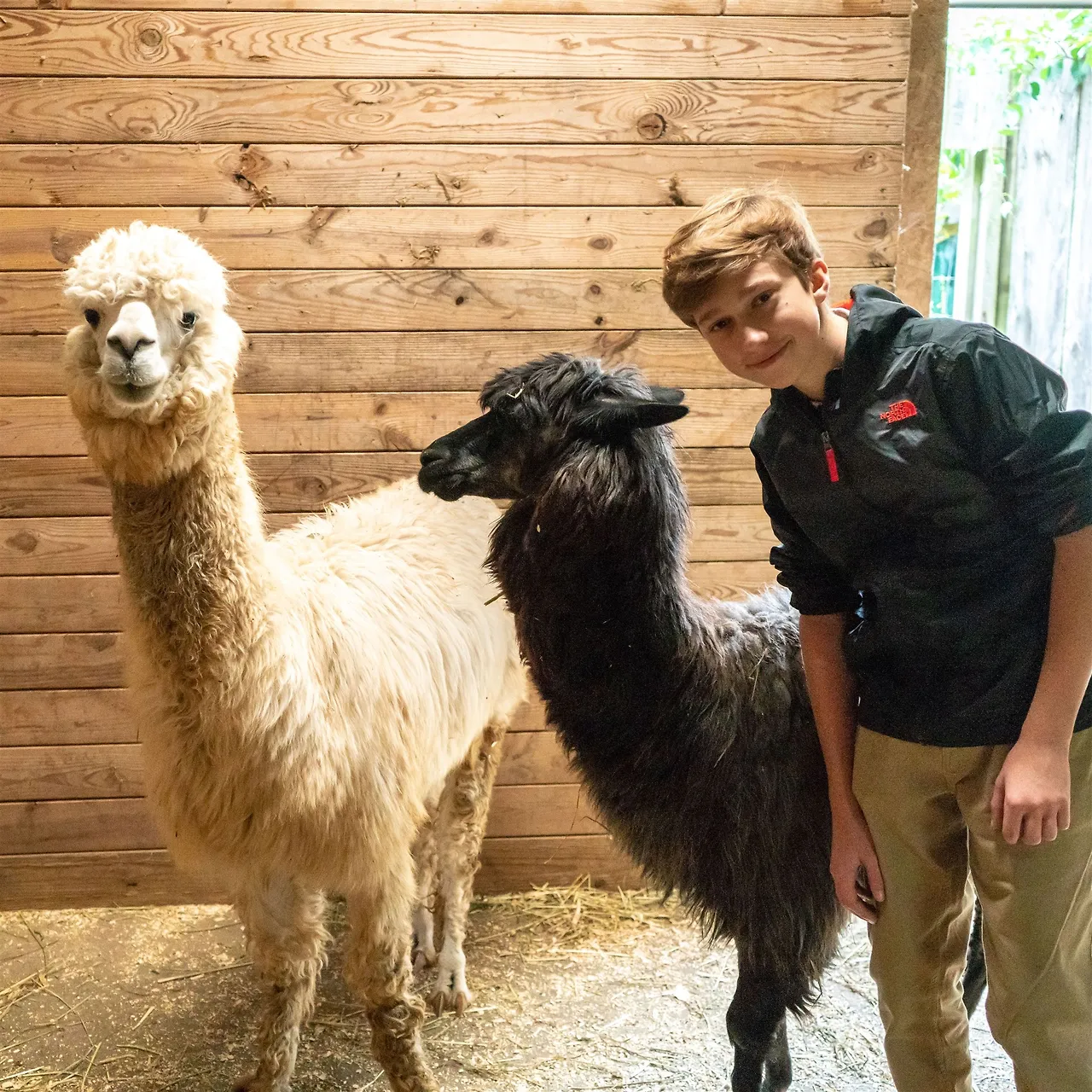 orig_photo657313_9805926.jpg?