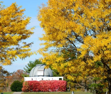 SE-4f11f03b-4cd6-4721-9685-21c6caed8240.png?type=w386