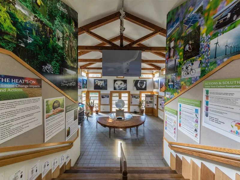 orig_photo1056377_11630831.jpg?