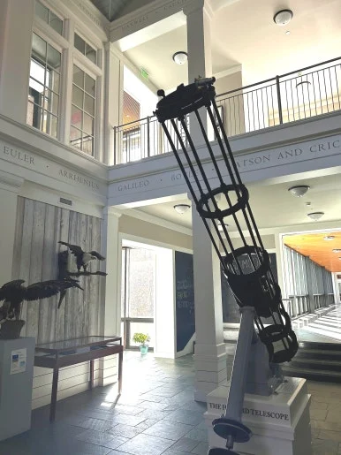 SE-adf64408-746a-4eab-9dd0-d5cf3c23bfd6.jpg?type=w386