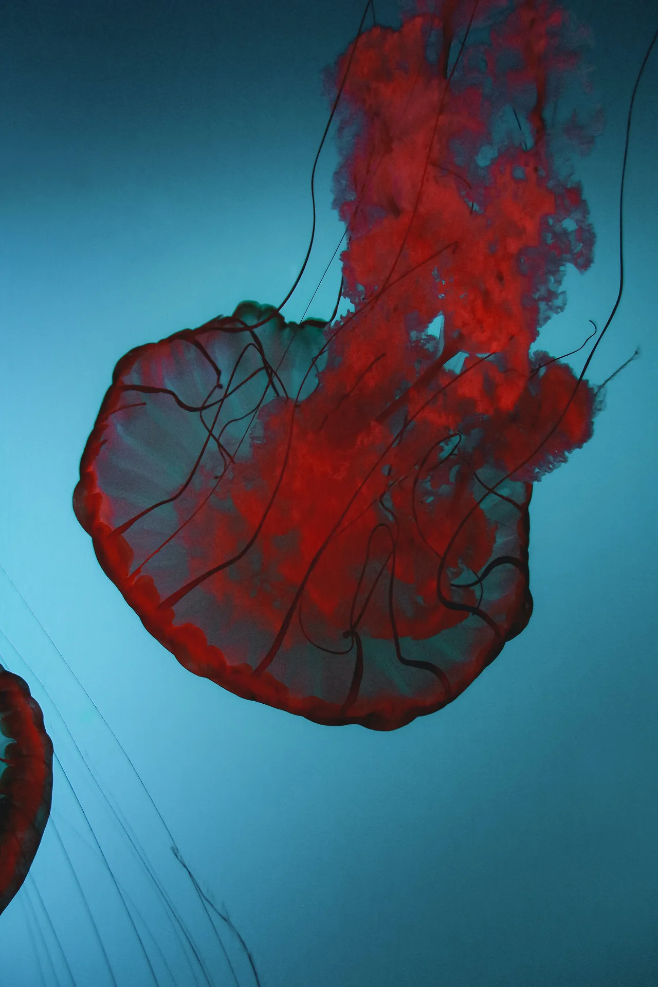 photo-1617200673057-ebbc4115e18d?ixlib=rb-4.0.3&amp;ixid=MnwxMjA3fDB8MHxwaG90by1wYWdlfHx8fGVufDB8fHx8&amp;auto=format&amp;fit=crop&amp;w=1000&amp;q=80