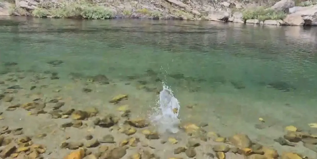 영월여행에서 얻은 깨달음.JPG