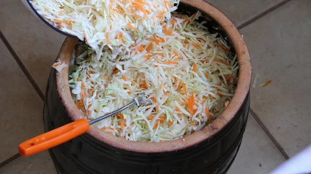 폴란드 양배추 장독대-배럴 사진.JPG