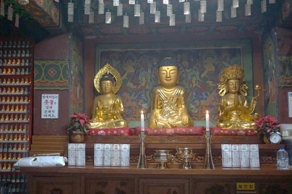 c_026Ud018svc1os5tcsu3pxbn_uon9qf.jpg?type=e1920_std