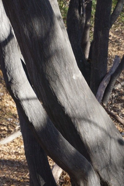 0_e27Ud018svc15aqsjkn7j3h5_uon9qf.jpg?type=e1920_std