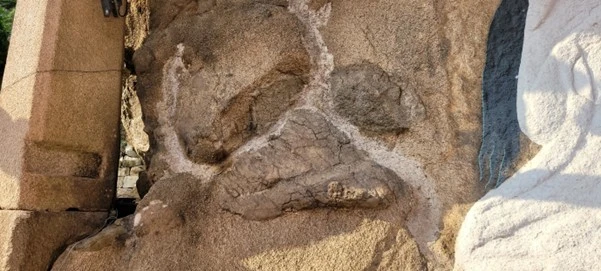 e_hf4Ud018svc1aya3f76goqgc_uon9qf.png?type=e1920_std