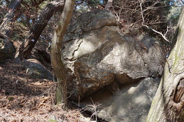 i_20dUd018svc1d3cqret56w9i_uon9qf.png?type=e1920_std