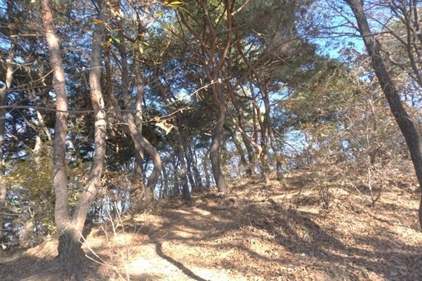 g_b26Ud018svc3tifza4l9zk6_uon9qf.jpg?type=e1920_std