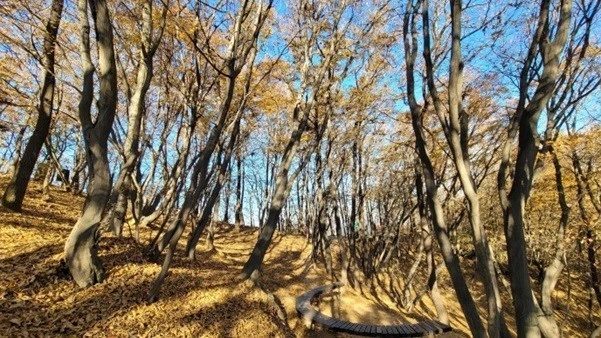 i_826Ud018svc1ux960qk2l32w_uon9qf.jpg?type=e1920_std