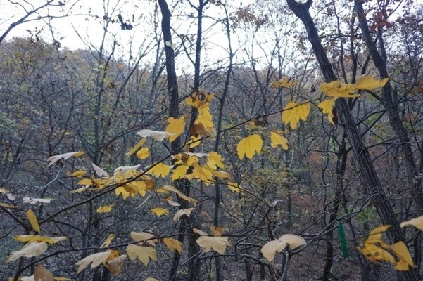 e_e26Ud018svcephanbimrbsp_uon9qf.jpg?type=e1920_std