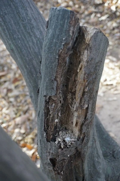 1_h27Ud018svc829oenqt91jj_uon9qf.jpg?type=e1920_std